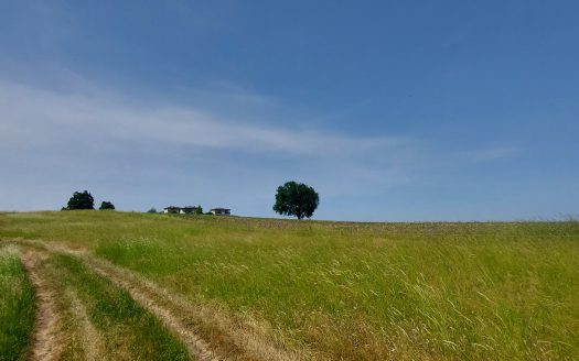 ПИ за продажба в с. Лозенец