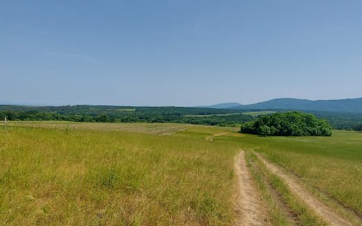 ПИ за продажба в с. Лозенец