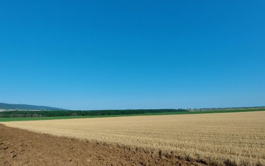 ПИ за продажба в с. Тънково до резерват Калината