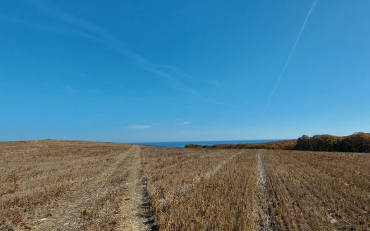 Парцел за продажба в Обзор