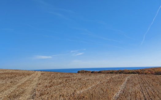 Парцел за продажба в Обзор