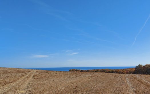 Парцел за продажба в Обзор