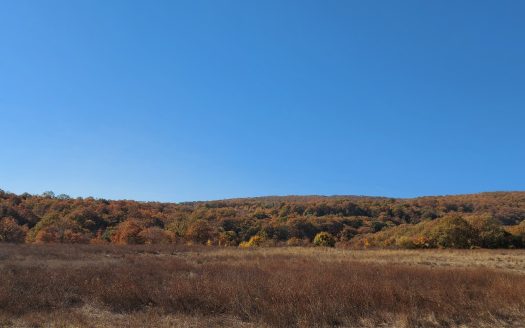 Парцел за продажба в Обзор