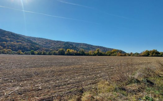 Парцел за продажба в Обзор