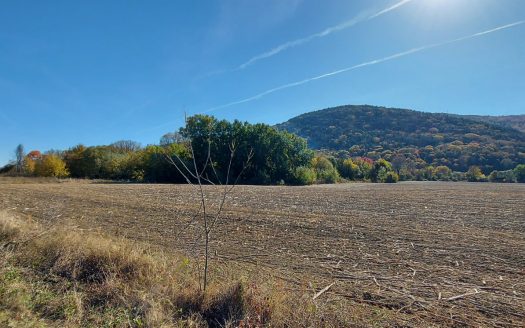 Парцел за продажба в Обзор